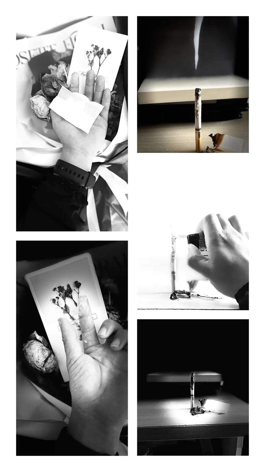 图片9.png 图片9.png