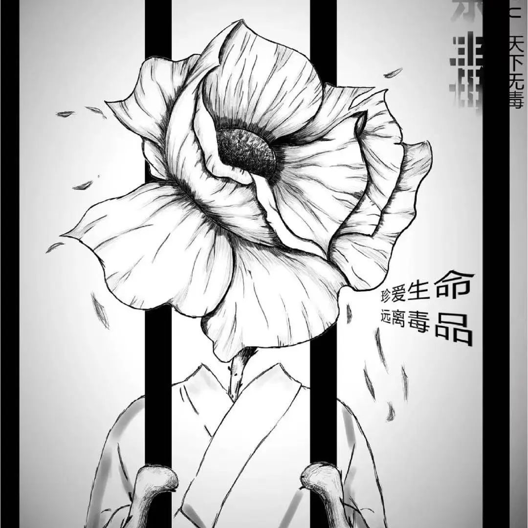 图片14.png 图片14.png