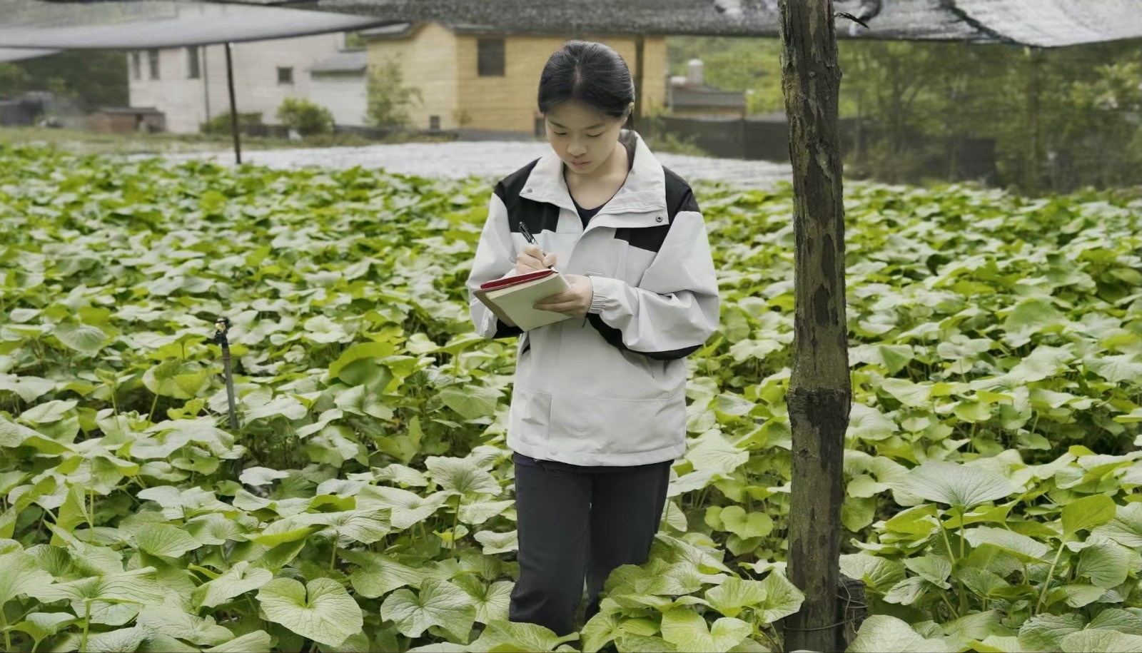 太上头了??，这个蘸料经管人研发的！ 第 4 张