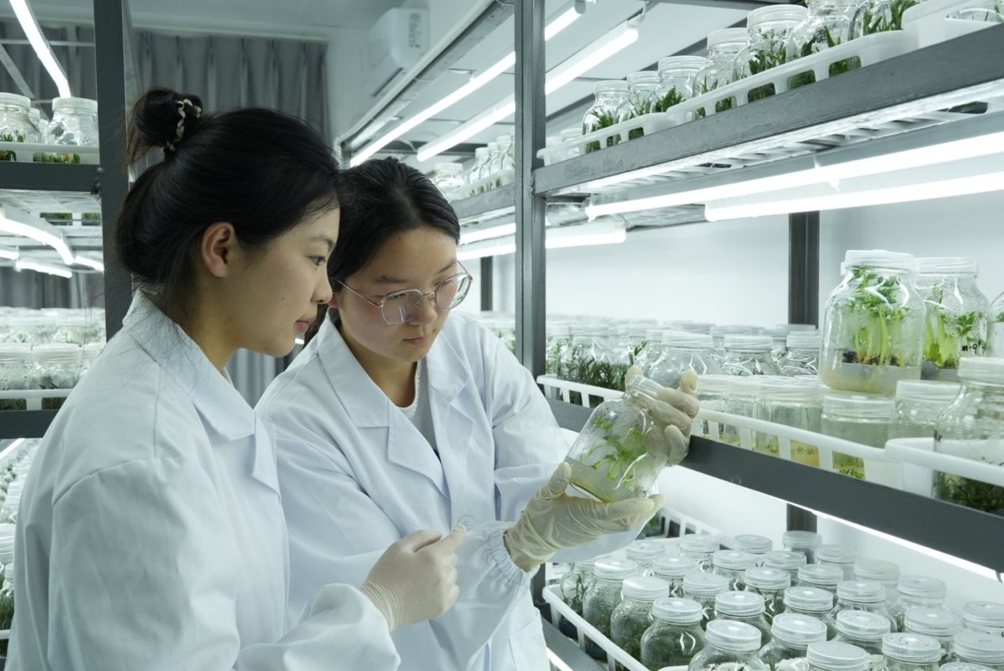 太上头了??，这个蘸料经管人研发的！ 第 7 张