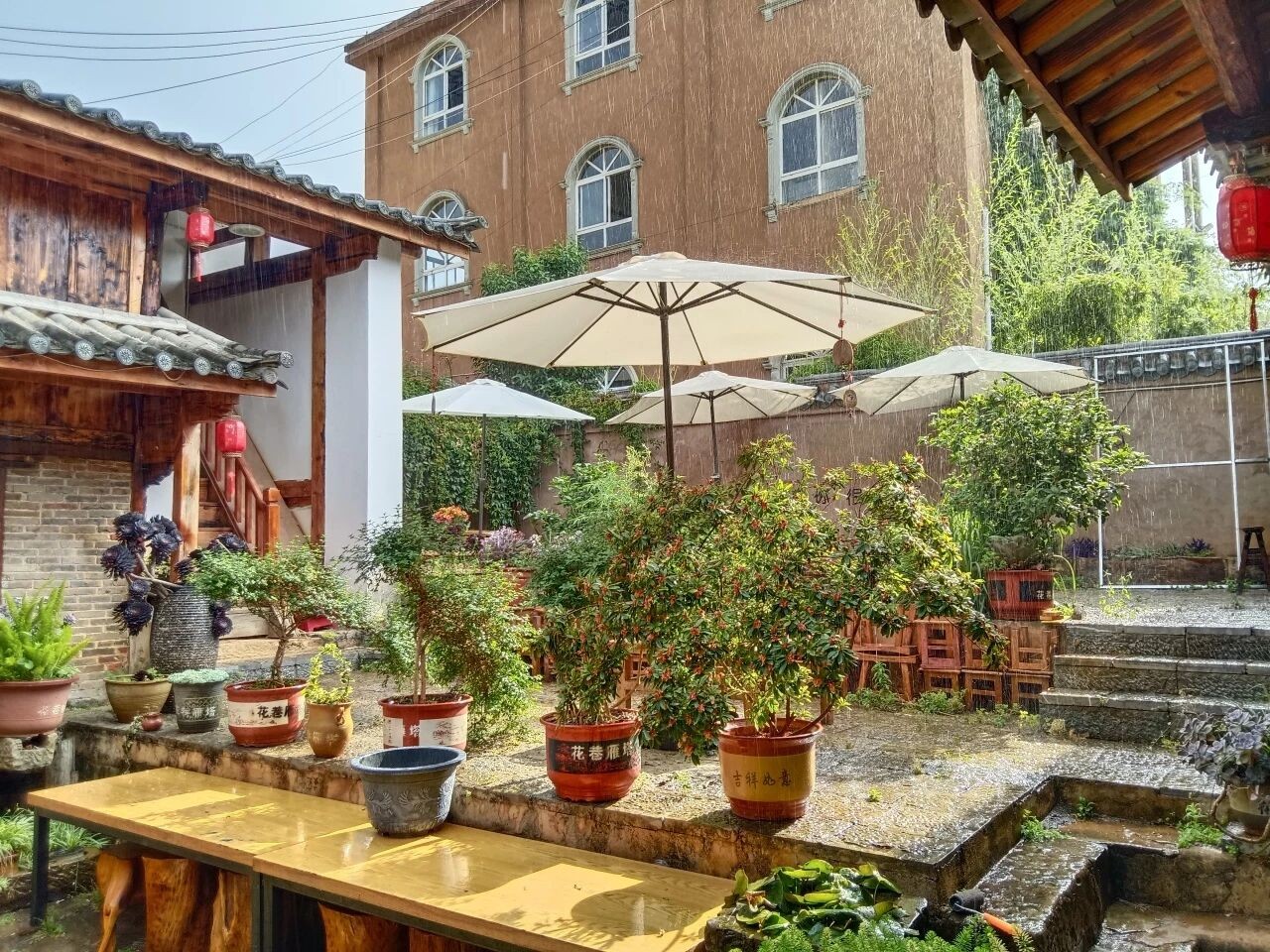 00后女生！在古村当起CEO?? 第 8 张