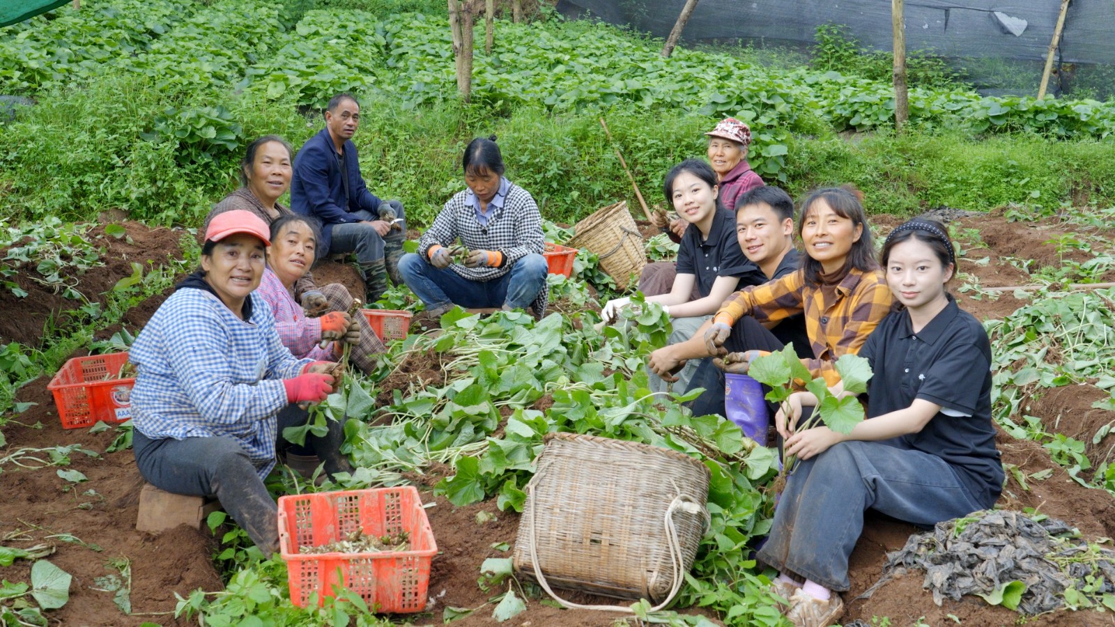 太上头了??，这个蘸料经管人研发的！ 第 9 张
