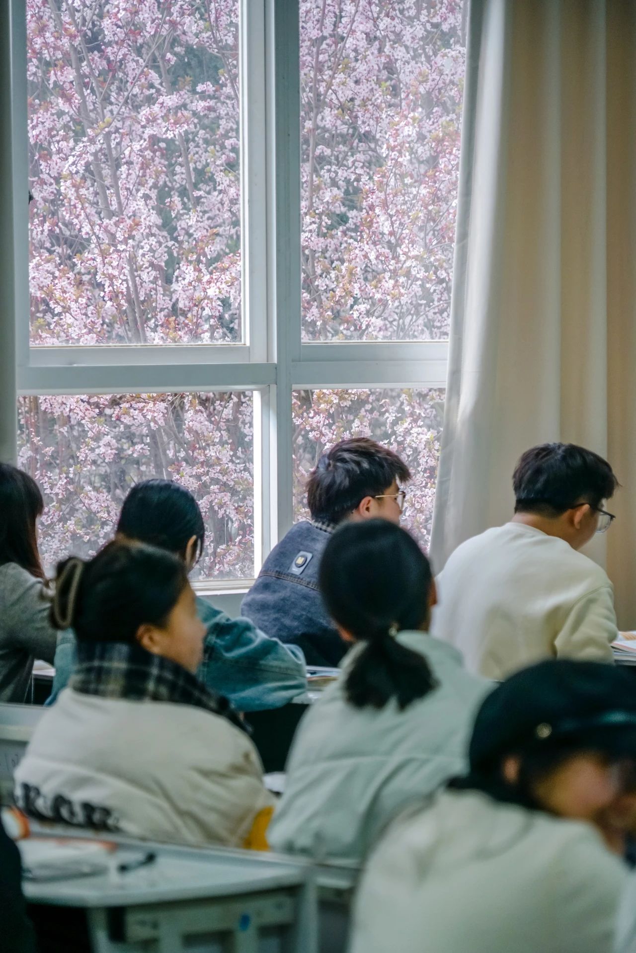 云南经济管理学院春季学期开学！ 第 6 张