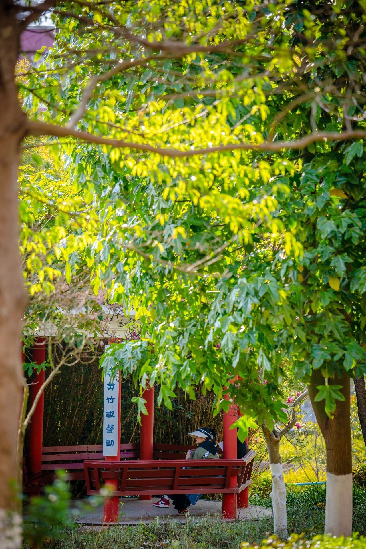 云南经济管理学院春季学期开学！ 第 8 张