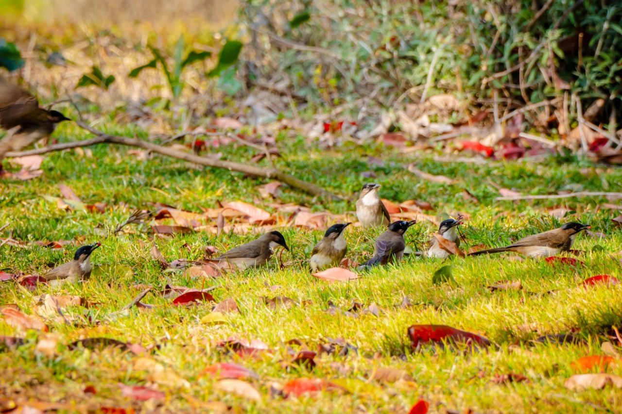 云南经济管理学院春季学期开学！ 第 14 张