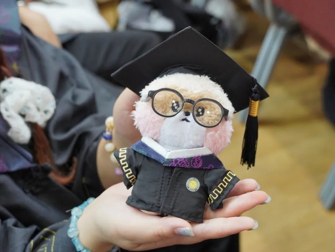 云南经济管理学院2025年毕业典礼隆重举行！ 第 30 张