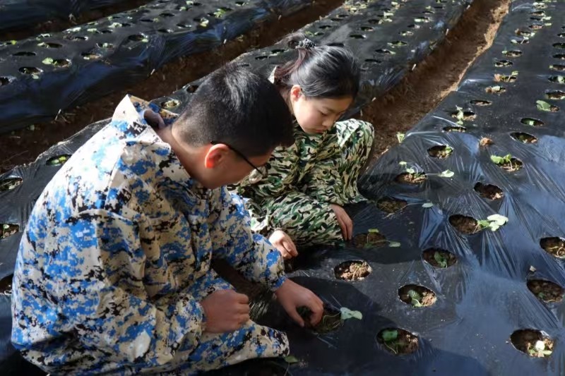 太上头了??，这个蘸料经管人研发的！ 第 11 张