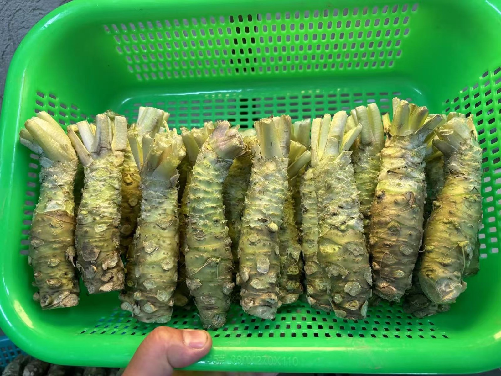 太上头了??，这个蘸料经管人研发的！ 第 15 张