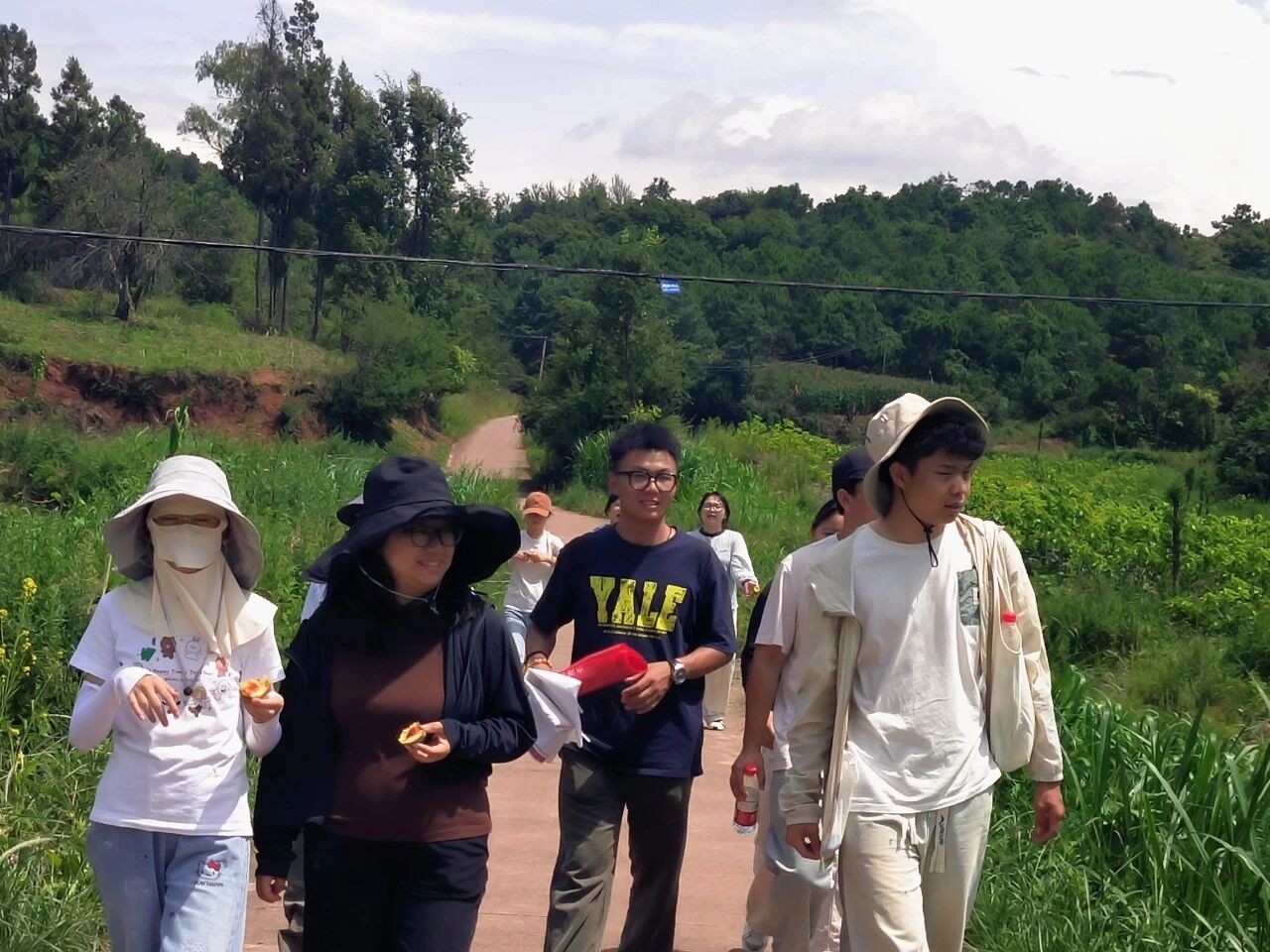 暑假社会实践 | 生态桑园绿意浓，“蚕”动绿色新经济--水源区固废变有机肥，麦地冲蚕丝织就国际路 第 3 张