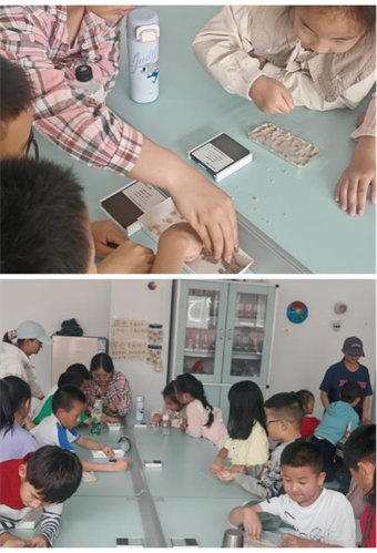 图片2.png 图片2.png