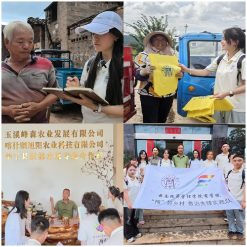 暑期社会实践|“梅”好蓝图 青春初绘 暑期社会实践|“梅”好蓝图 青春初绘