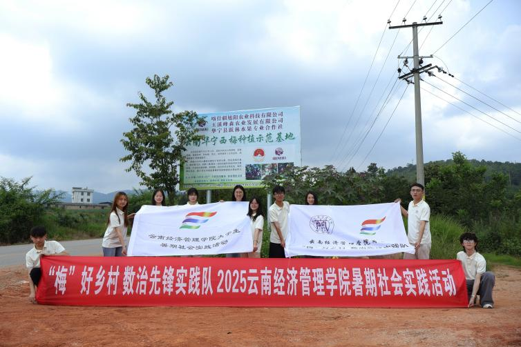 暑期社会实践|“梅”好乡村，果见活力 第 3 张