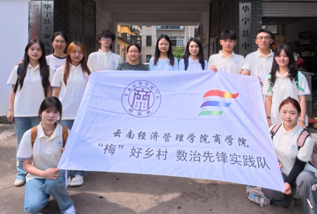 暑期社会实践│“梅”好华宁，青春数治 第 2 张