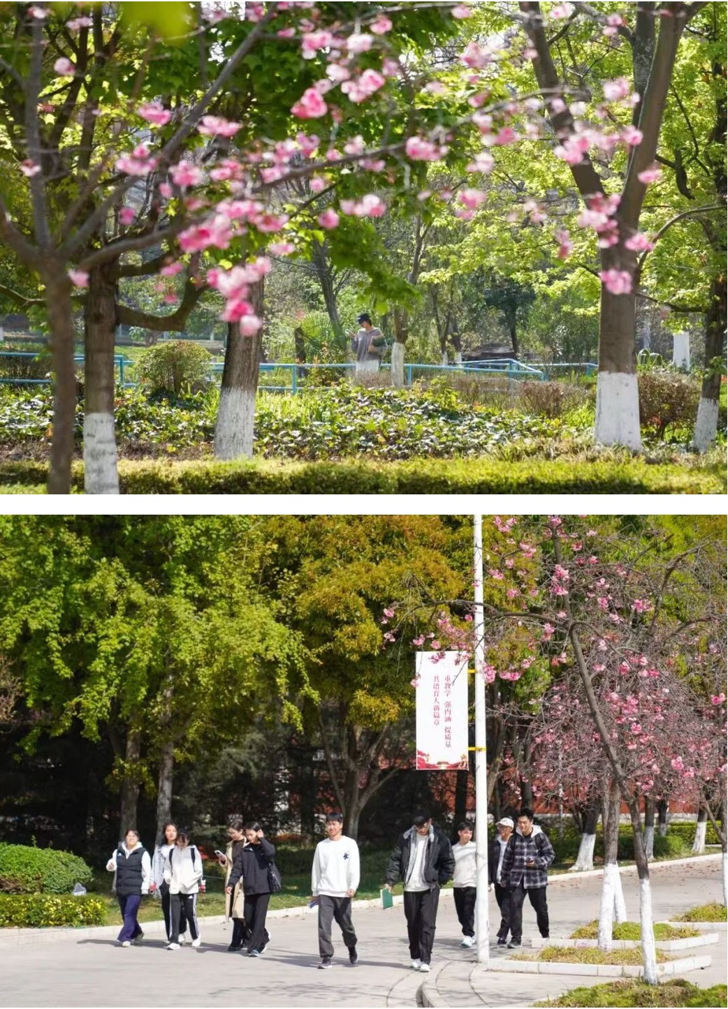 今天，云经管开学第一天！ 第 13 张