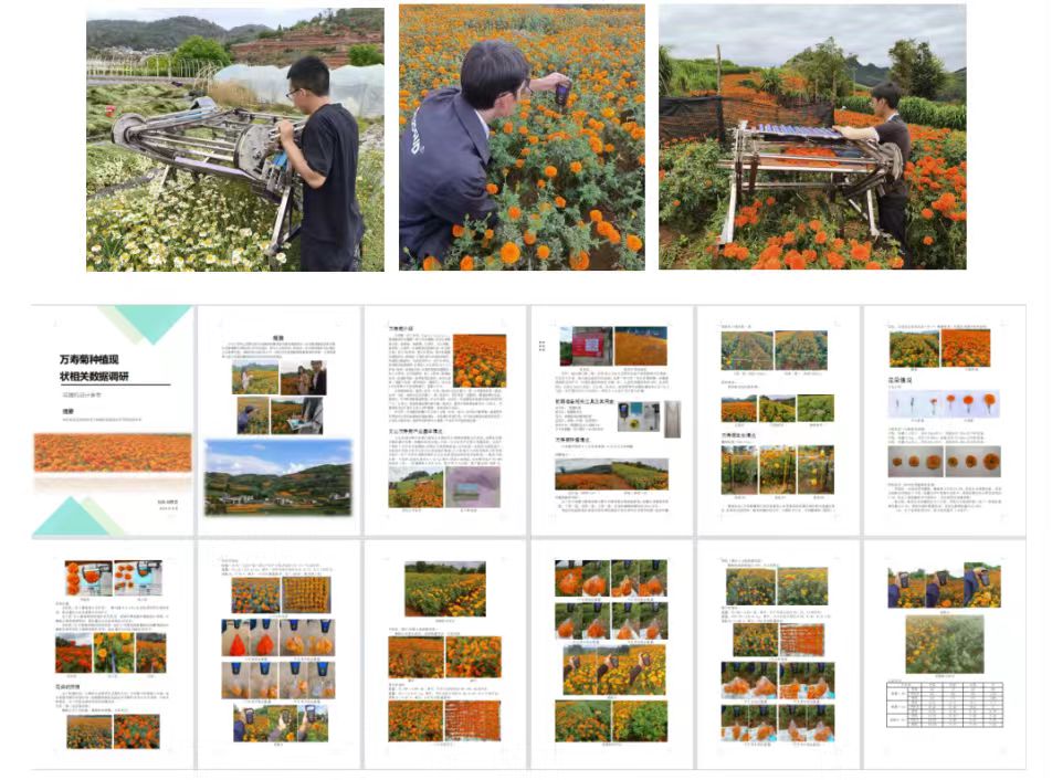 图5.下地实验与调研报告(1).jpg 图5.下地实验与调研报告(1).jpg